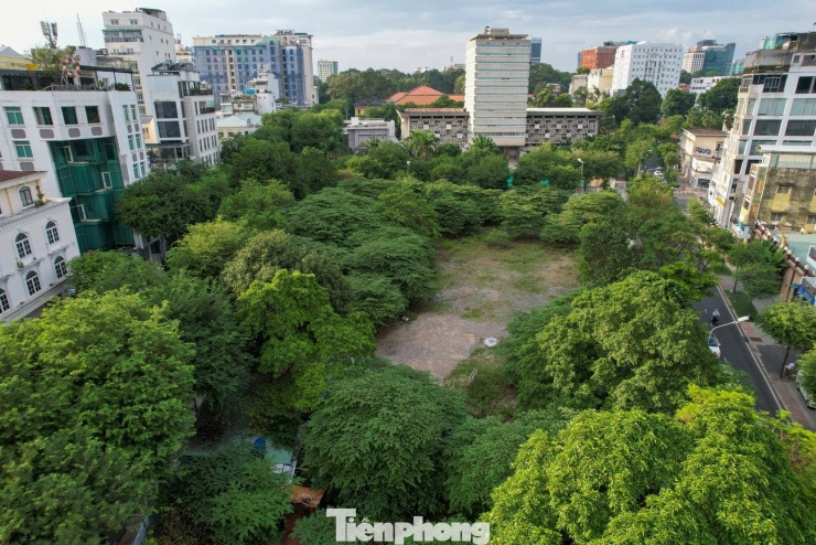 Được kỳ vọng là tòa tháp cao thứ 3 tại TPHCM với 54 tầng nhưng sau gần 2 thập kỷ, dự án tháp SJC Tower vẫn chỉ là bãi đất trống mọc đầy cỏ dại được quây kín bằng hàng rào tôn.