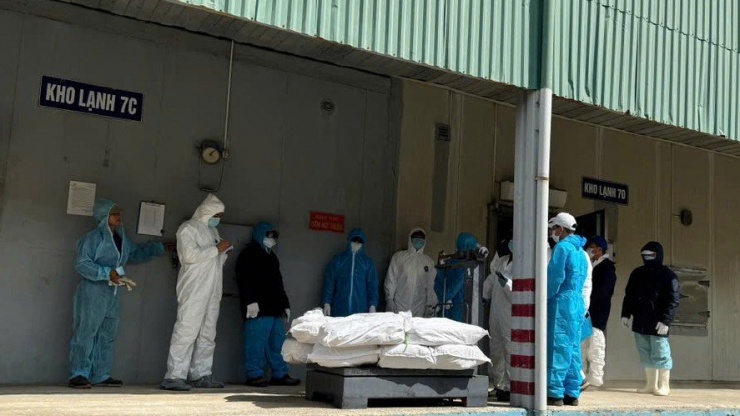 Lực lượng liên ngành TP. Hải Phòng tổ chức lấy mẫu xét nghiệm thịt trong kho lạnh Công ty CP Đồ hộp Hạ Long.