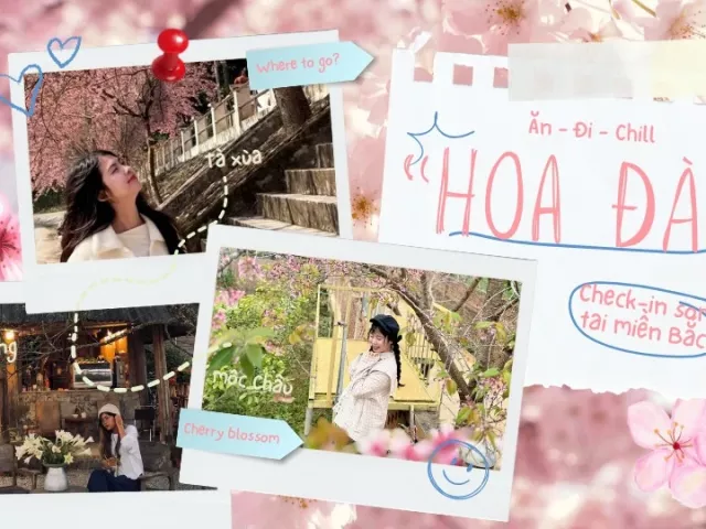 Săn hoa đào sớm ở miền Bắc: Tà Xùa "thêm gói" ngắm mây, đi Hà Giang tiện chụp áo dài