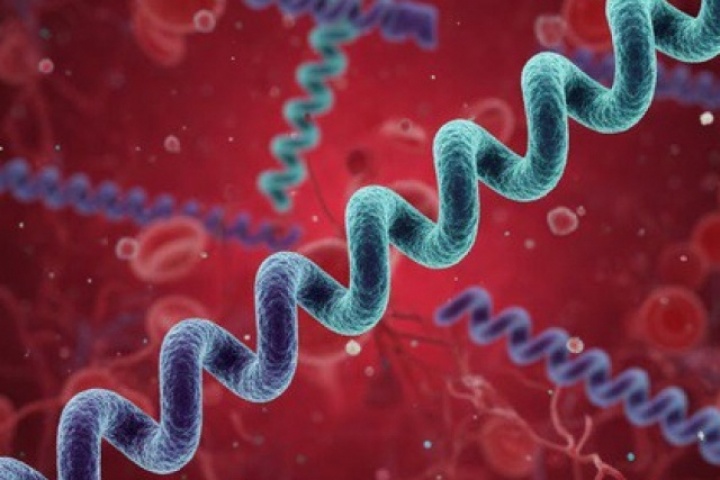 5 câu hỏi thường gặp nhất về bệnh giang mai