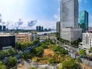 Cận cảnh 9 khu ‘đất vàng’ ở TPHCM sắp hóa công viên, vườn hoa Tết Bính Ngọ