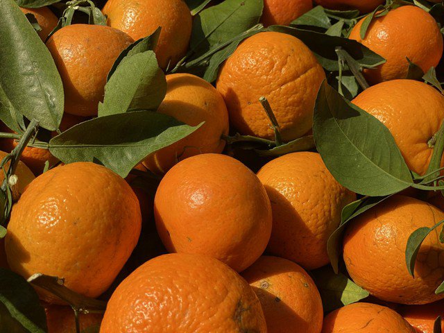 Màu sắc bắt mắt, hương vị thơm ngon khiến cam Ôn Châu chiếm được cảm tình của người tiêu dùng Việt.