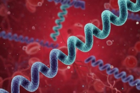 5 câu hỏi thường gặp nhất về bệnh giang mai