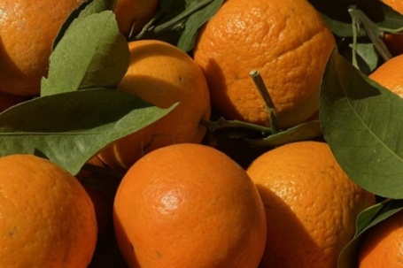 Tiểu thương “hé lộ” về nguồn gốc của một loại cam quen thuộc được người tiêu dùng Việt tiêu thụ mỗi ngày