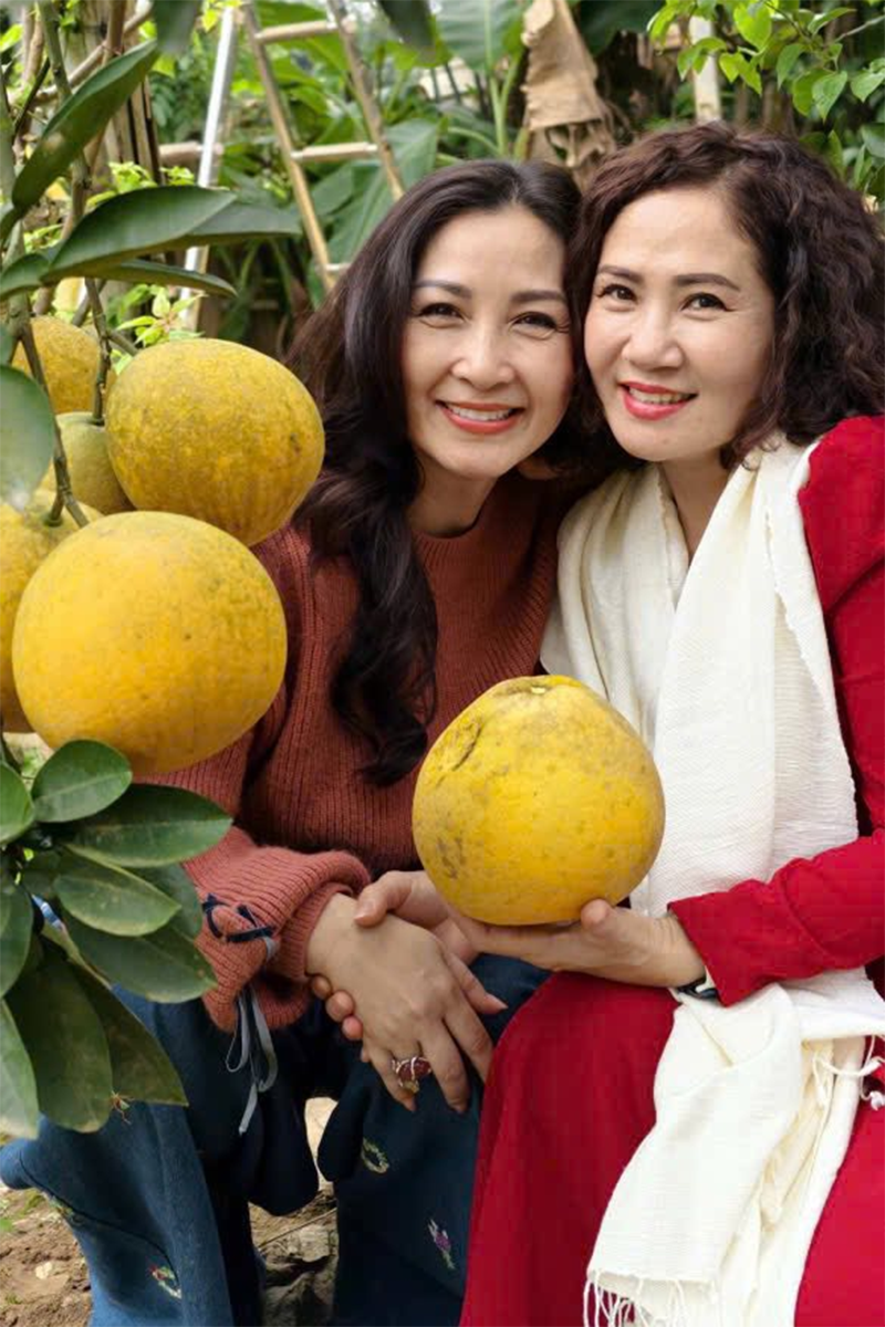 Hành trình Nam tiến của Khánh Huyền bắt đầu từ một biến cố lớn trong đời. Cuộc hôn nhân đầu tan vỡ khiến chị từng rơi vào trầm cảm, suýt bỏ nghề. Quyết định rời Hà Nội vào TP.HCM không chỉ là tìm lối thoát mà còn là cách chị tái tạo chính mình. Từ một ngôi sao sáng phía Bắc, Khánh Huyền chọn cách sống lặng lẽ hơn, tập trung xây dựng tổ ấm mới nhưng không đánh mất ngọn lửa đam mê diễn xuất.