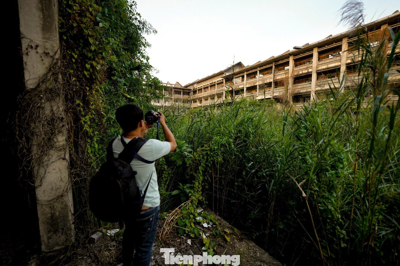 Quy mô bề thế với 3 dãy nhà 3 tầng hình chữ U, nhưng lối vào ngôi trường nay đã bị cỏ dại bịt kín. Để tiếp cận bên trong, phóng viên phải vất vả vạch lớp cây cỏ rậm rạp.