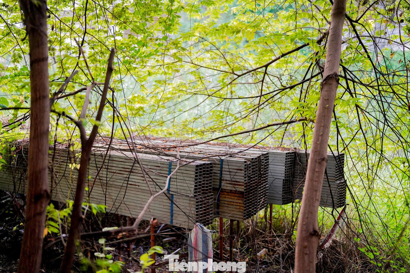 Vật liệu nằm chỏng chơ, phủ bụi giữa những bức tường xây dở.