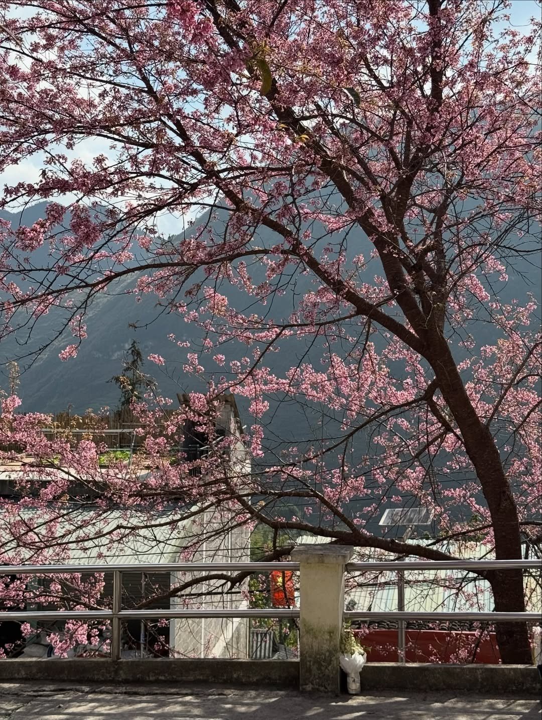 Ảnh: IG @linhchimm