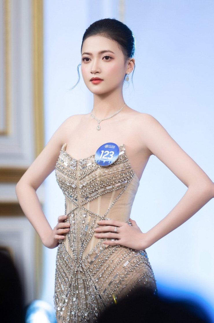 Thí sinh Nguyễn Phương Hồng Thắm (SBD 123) là Hoa khôi trường Đại học Kinh tế - Tài chính (Miss UEF 2024). Cô sinh năm 2004, đến từ Gia Lai (Bình Định cũ). Cô từng lọt phần thi Top Model by Fan Vote tại cuộc thi năm nay.