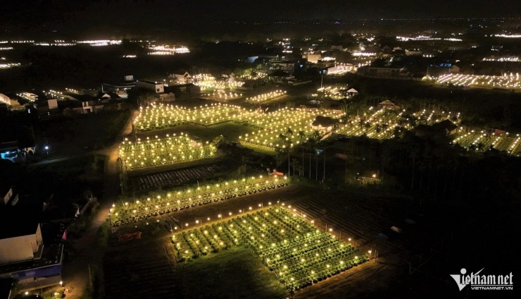 Thủ phủ hoa cúc của miền Trung đồng loạt thắp đèn khi không khí lạnh tràn về.