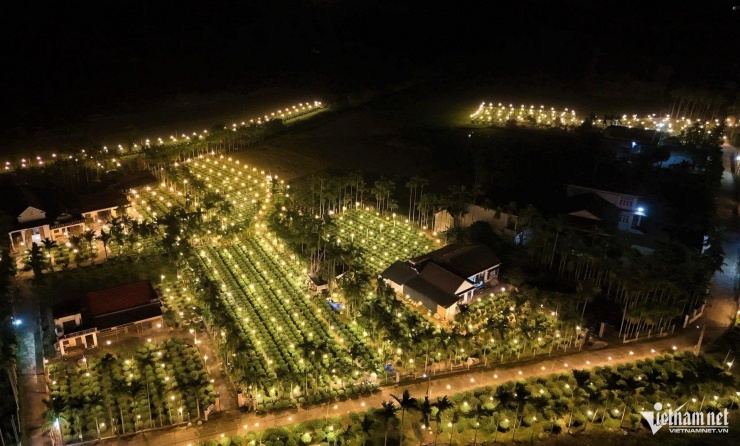 Những vườn hoa chong đèn sáng lung linh dưới bầu trời đêm.