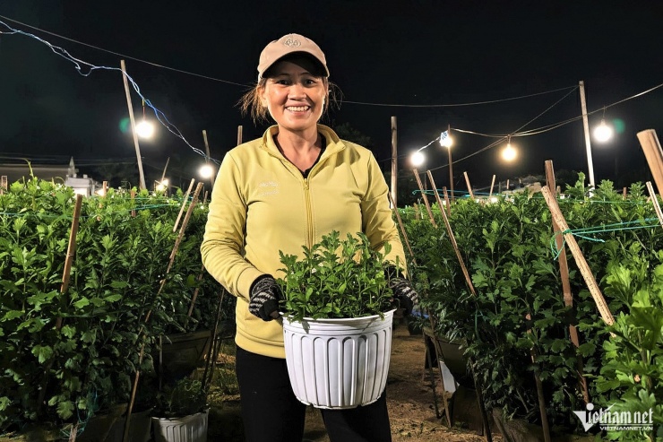 Những chậu hoa cúc được người nông dân chăm sóc ngày đêm, mang theo hy vọng về một vụ mùa Tết bội thu.