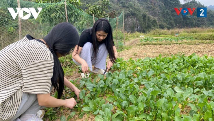 Cuộc sống tự cấp tự túc khi chọn "bỏ phố về quê" giúp bạn giảm áp lực tài chính, đồng thời có được nguồn thực phẩm sạch.