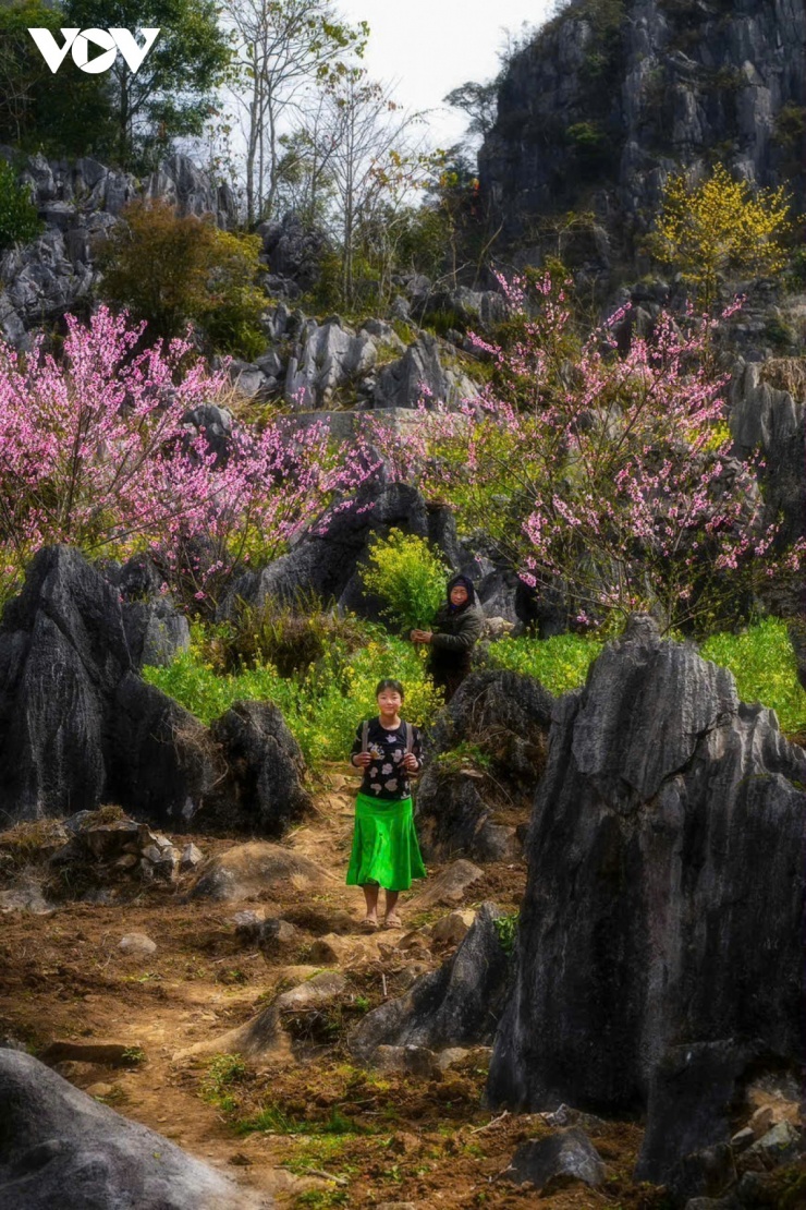 Bản tình ca trên đá và những mùa xuân không tuổi - 13