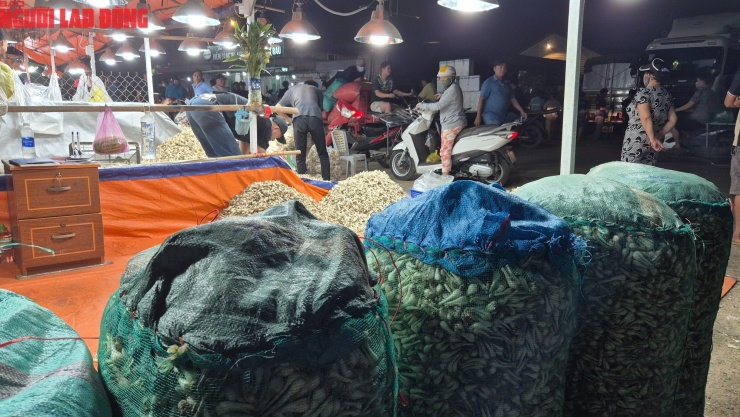 Tại ô số 1 của bà Hồng Cẩm, mỗi ngày bán được khoảng 20 bao kiệu, mỗi bao 100 kg