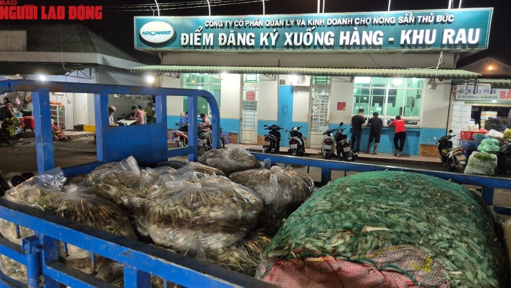 Chợ kiệu hoạt động thời vụ mùa Tết nằm bên trong chợ đầu mối Thủ Đức