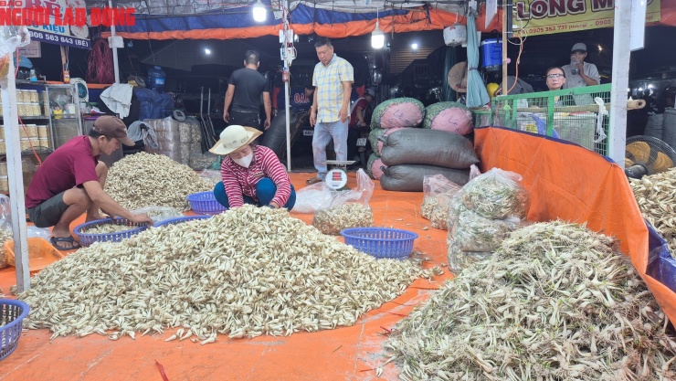 Vựa Lộc Bé thuê 2 ô tại chợ