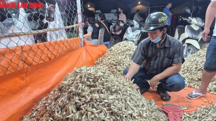 Tiểu thương đến chợ sỉ mua kiệu về bán ở khu vực ngoại thành TPHCM