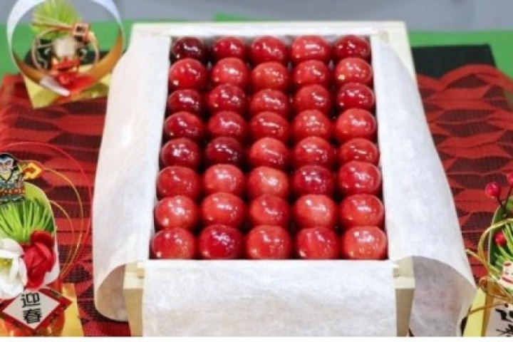 Cherry Nhật Bản giá hơn 4 triệu đồng/quả có gì đặc biệt?
