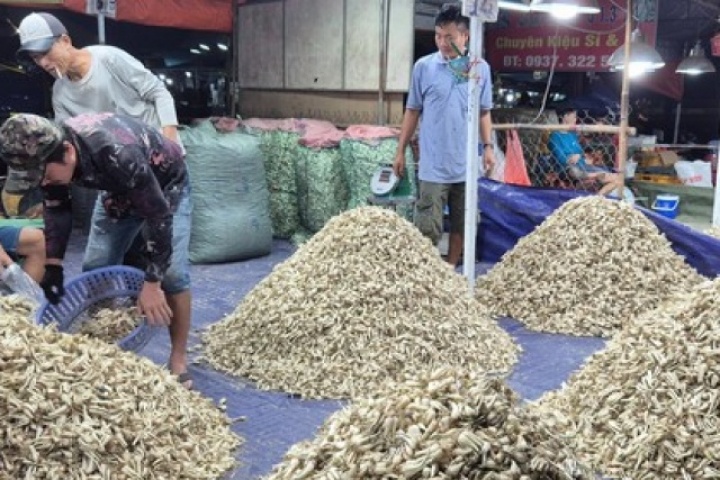 Cận cảnh khu chợ kiệu Tết lớn nhất TPHCM