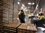 Thêm nhiều doanh nghiệp Việt Nam đạt doanh thu trên 1 triệu USD trên Amazon