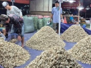 Cận cảnh khu chợ kiệu Tết lớn nhất TPHCM