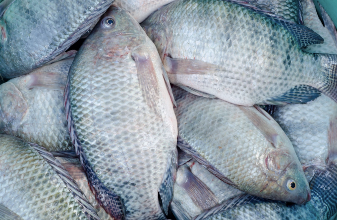 Ảnh minh họa: allaboutfeed