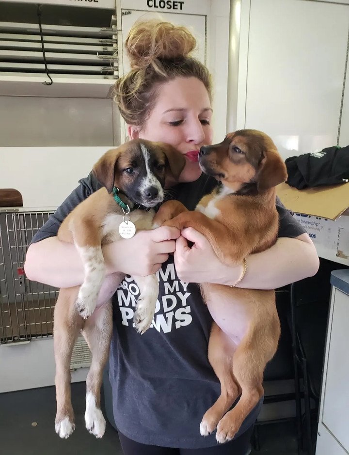 Lauren Wire đã chán ngấy các ứng dụng hẹn hò, cô ấy thích ôm chó hơn.