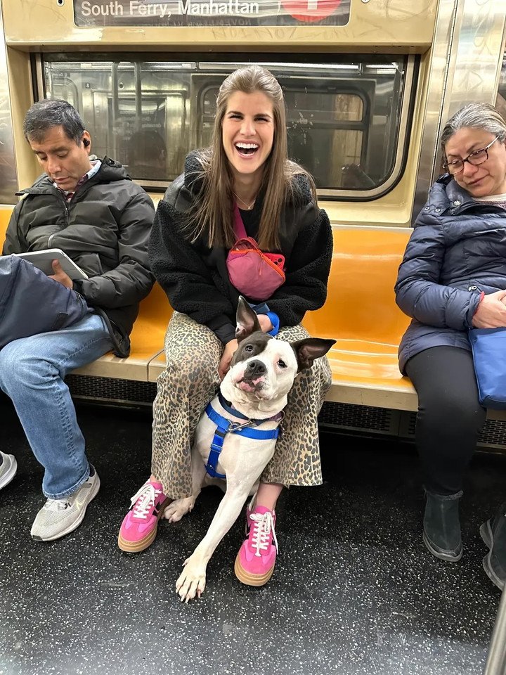 Cole Reifsnider cũng đồng tình với ý kiến ​​cho rằng chó con là người bạn đồng hành tuyệt vời khi không có nhu cầu hẹn hò.