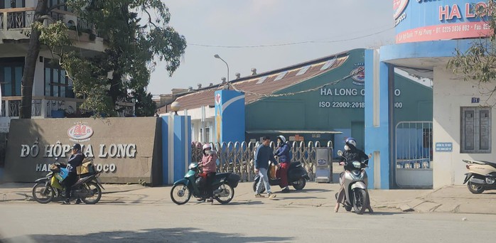 Sáng 12-1, hàng trăm cán bộ, công nhân Công ty CP đồ hộp Hạ Long vẫn có mặt tại công ty