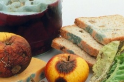 Thực phẩm bẩn có thể gây ra những bệnh ung thư nào?