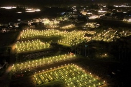 Thủ phủ hoa cúc miền Trung chong đèn xuyên đêm, 'đánh thức' hoa nở kịp Tết