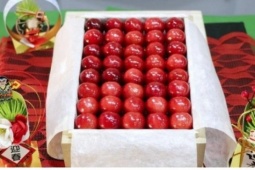 Cherry Nhật Bản giá hơn 4 triệu đồng/quả có gì đặc biệt?