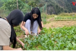 Bỏ phố về quê - Trào lưu không dành cho số đông