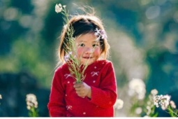 Hà Giang: Bản tình ca trên đá và những mùa xuân không tuổi