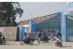 VIDEO: Tạm dừng sản xuất, hàng trăm công nhân vẫn đến Công ty CP đồ hộp Hạ Long