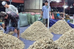 Cận cảnh khu chợ kiệu Tết lớn nhất TPHCM