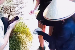 Công an Hà Nội xác minh clip khách Tây bị 'chặt chém' 850.000 đồng chiếc nón lá