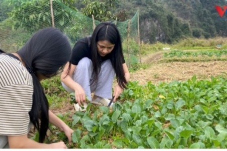 Bỏ phố về quê - Trào lưu không dành cho số đông