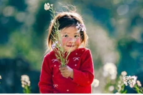 Hà Giang: Bản tình ca trên đá và những mùa xuân không tuổi