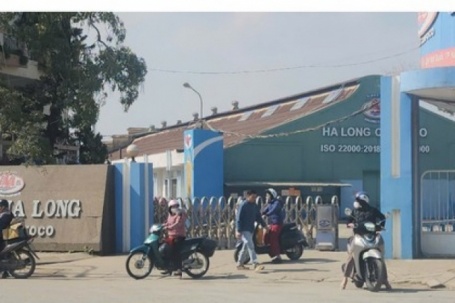 VIDEO: Tạm dừng sản xuất, hàng trăm công nhân vẫn đến Công ty CP đồ hộp Hạ Long