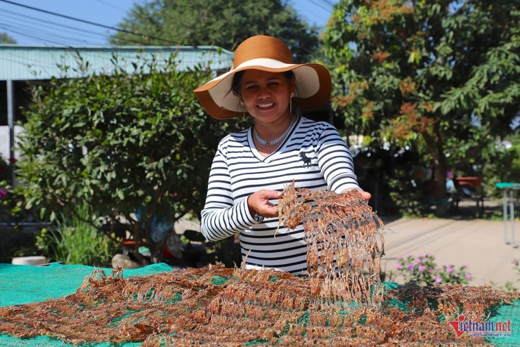 Giá khô nhái dự kiến tiếp tục tăng vào thời gian giáp tết Nguyên đán