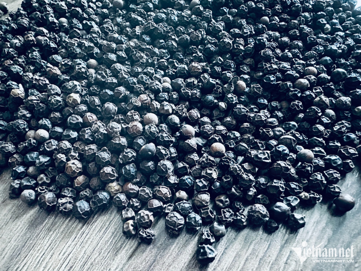 Giá hạt tiêu tại thị trường nội địa đang neo cao. Ảnh: Tâm An