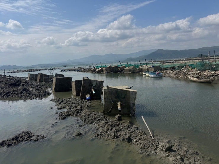 Sau bão, thủ phủ tôm hùm thiệt hại hơn 1.000 tỷ đồng.