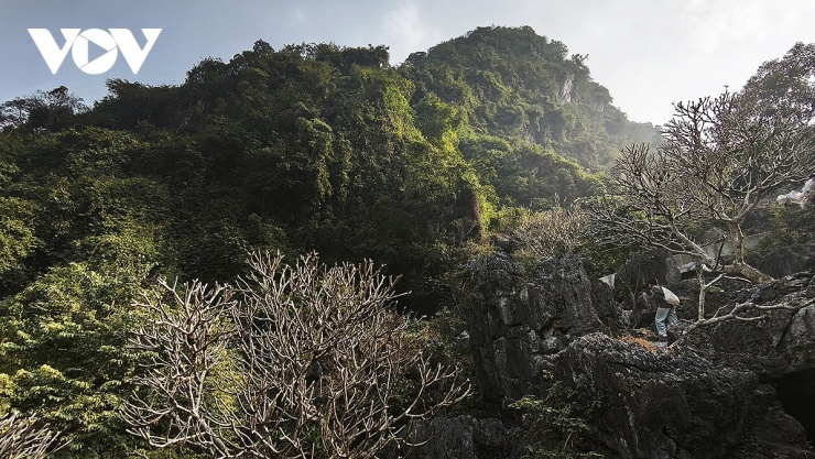 Đường lên động Tuyết Sơn xuyên qua rừng đặc dụng và đặc biệt là đi xuyên rừng mơ cổ với những gốc mơ trăm tuổi được người dân gìn giữ bao năm qua.