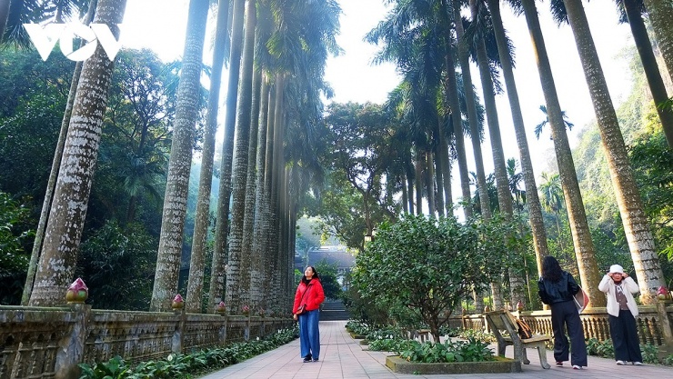 Theo văn bia tại động Tuyết Sơn, chùa Bảo Đài được xây dựng bởi quận chúa Hoàng Thị Ngọc Hương, đời vua Lê Hy Tông, niên hiệu Chính Hòa thứ 15 (1694).&nbsp;Bước qua tam quan đồ sộ, du khách sẽ đi qua một khoảng sân rộng, hai bên là hai hàng cau vua thẳng tắp.