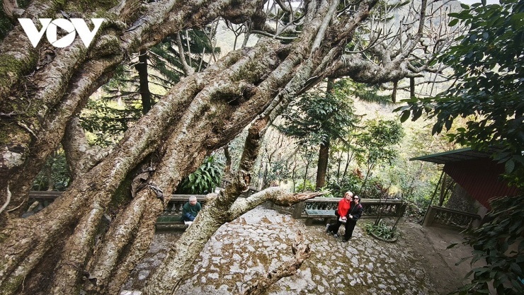 Chùa động Tuyết Sơn trên núi có không khí trầm mặc, thâm nghiêm