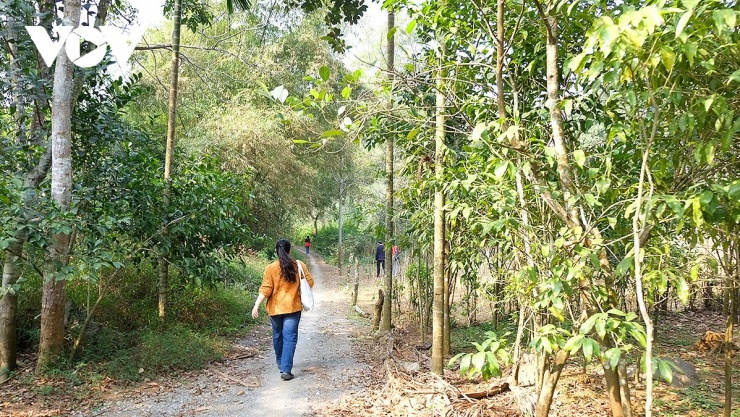 Trekking xuyên rừng đặc dụng trên những cung đường uốn lượn lại tạo cho du khách cảm giác như lạc vào chốn đào nguyên.