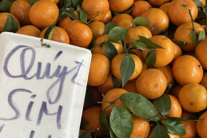 Quýt sim ngọt lịm giá rẻ đổ bộ chợ Việt, người tiêu dùng thi nhau đặt số lượng lớn về dùng dần
