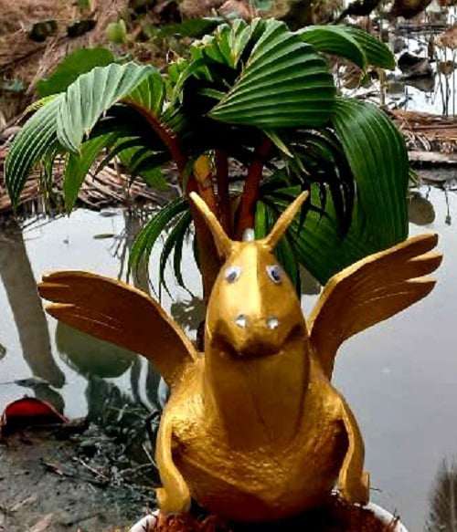 Ngựa dừa có cánh. Ảnh: T.Đ